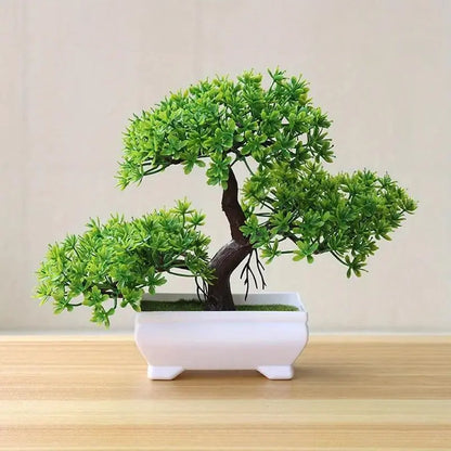 Small Bonsai Tree